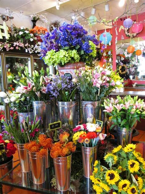 baltimore flower shop